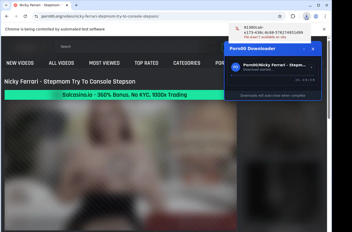 Porn 00 Video Downloader screenshot 2